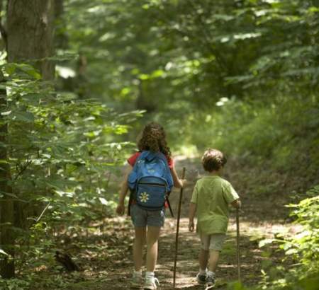 De nombreuses randonnées à faire au départ du camping